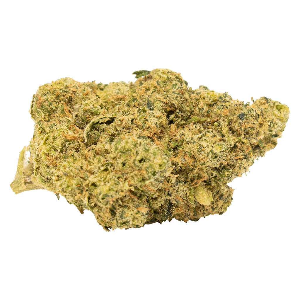 TWEED TROPICAL GELATO SLUSHIE (H) DRIED - 14G