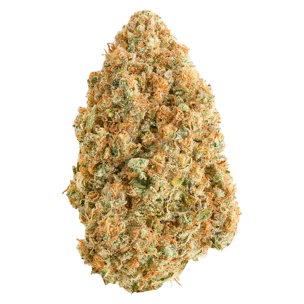 BROKEN COAST BLUE DREAM (S) DRIED - 7G