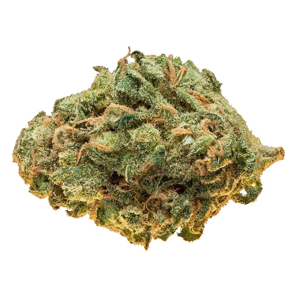 TRAILBLAZER FROZEN LIMELIGHT (S) DRIED - 14G