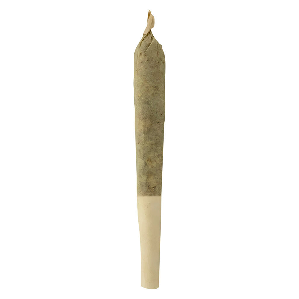 SHEEESH TROP CHERRY RESIN (S) INF PRE-ROLL 0.5G X 5