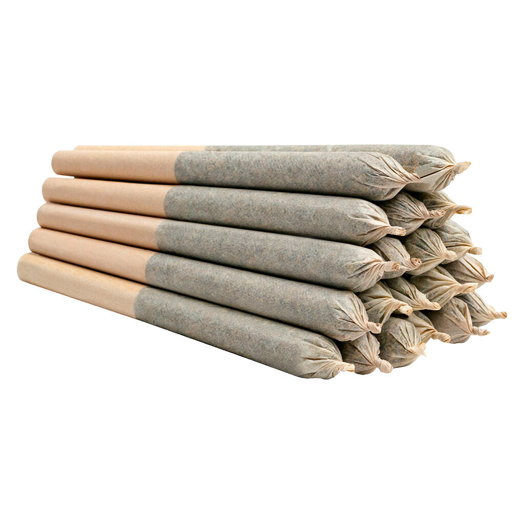 FRASER VALLEY BIG RED SATIVA (S) PRE-ROLL - 0.5G X 20