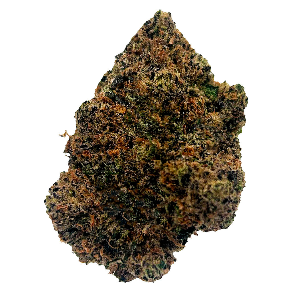 POTLUCK BEAVER TAIL (IND) DRIED - 7G