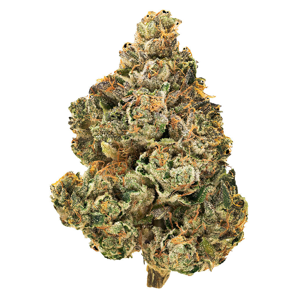 1964 STINKY PINKY (IND) DRIED - 1G