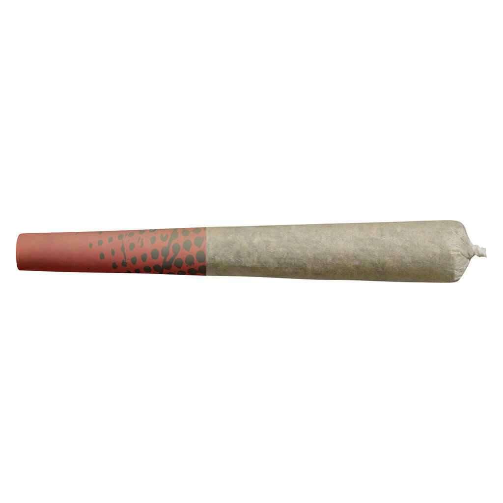 BIG BAG O BUDS BLUEBERRY DREAM (S) PRE-ROLL 0.5G X 10