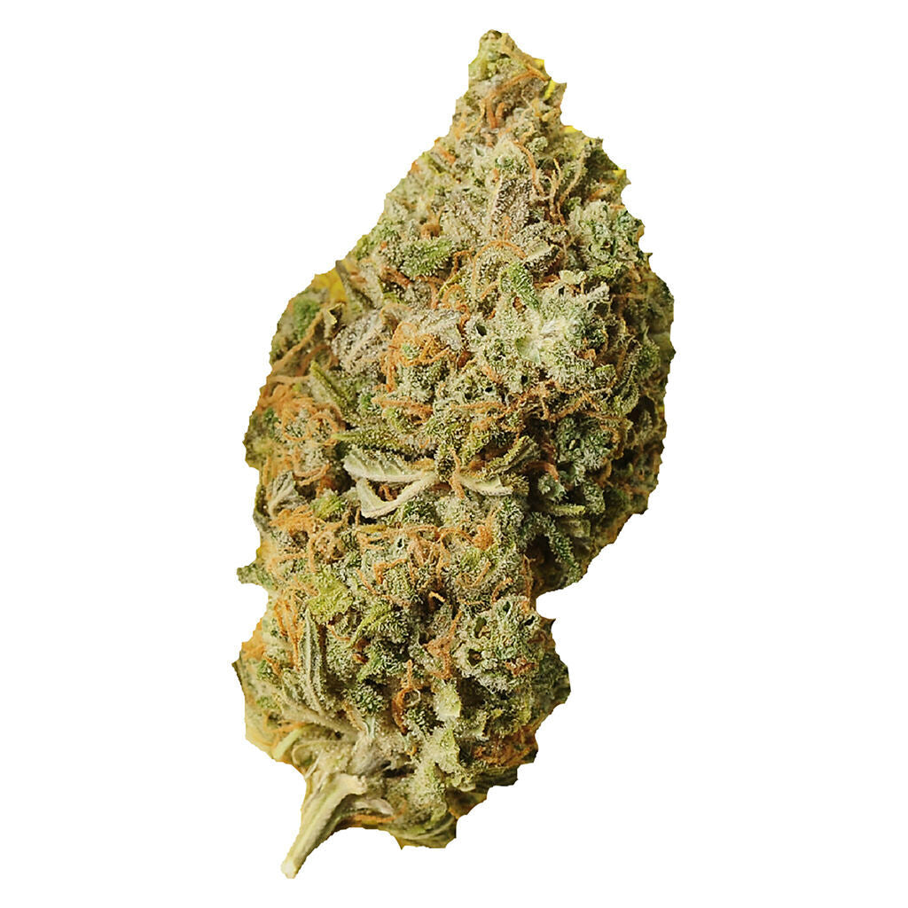 PALMETTO SAMPLER (H) DRIED - 1G