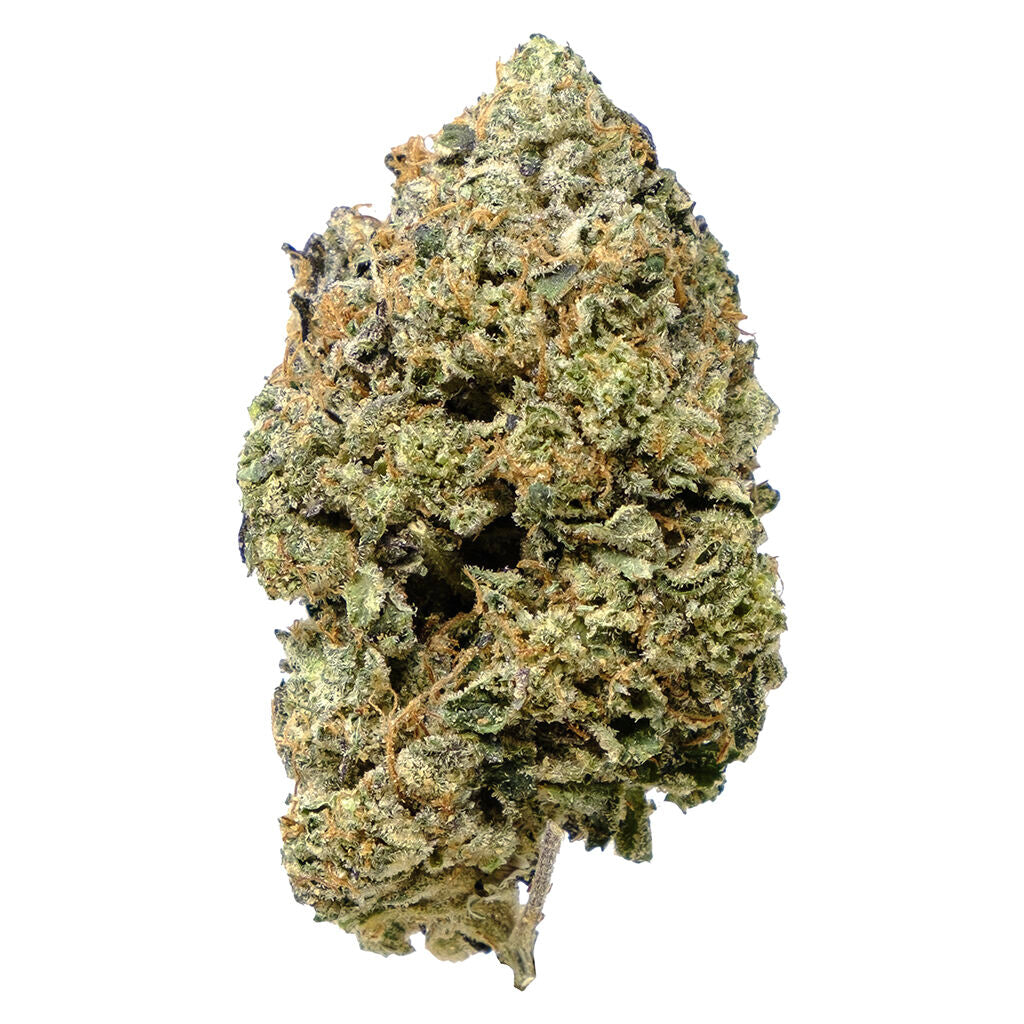 PISTOL AND PARIS PINK GOO (IND) DRIED - 14G