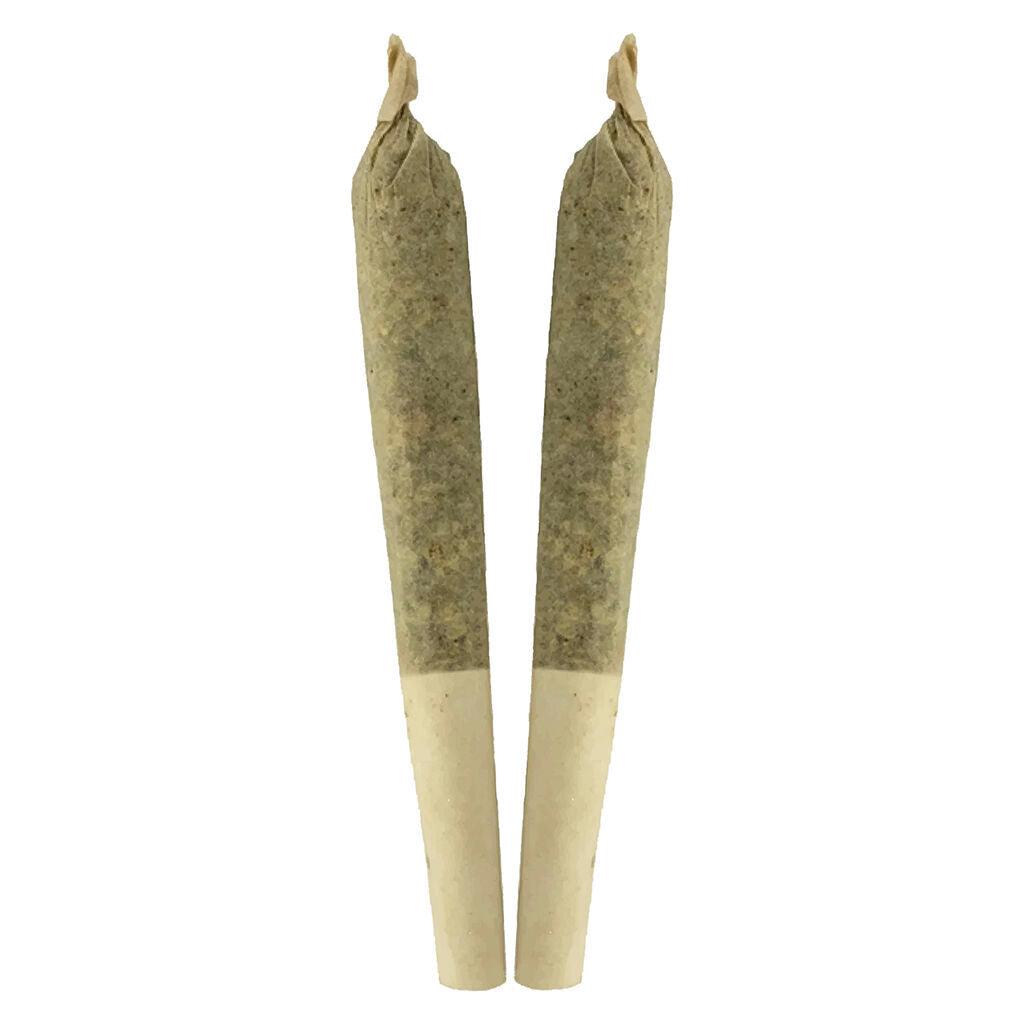 SHEEESH KEY LIME PIE (IND) PRE-ROLL 1G X 2