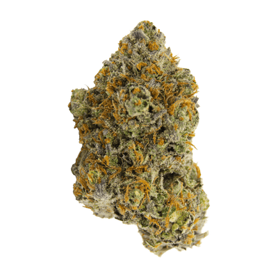 VERSUS VARIANT (H) DRIED - 14G