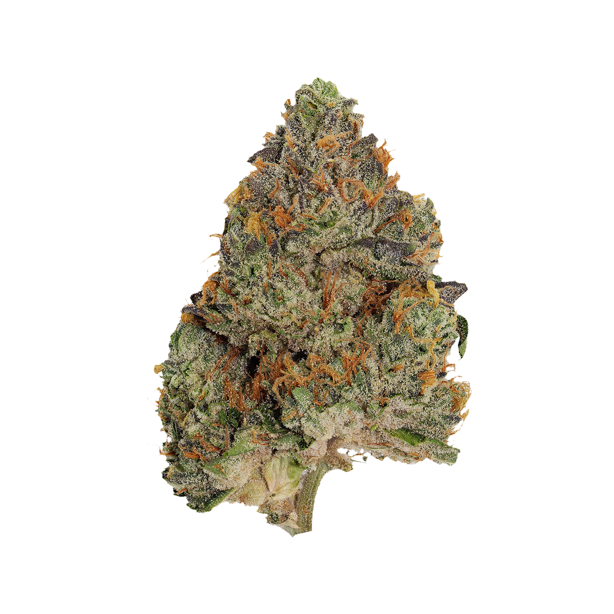 PISTOL AND PARIS BLUE ZUSHI (IND) DRIED - 3.5G