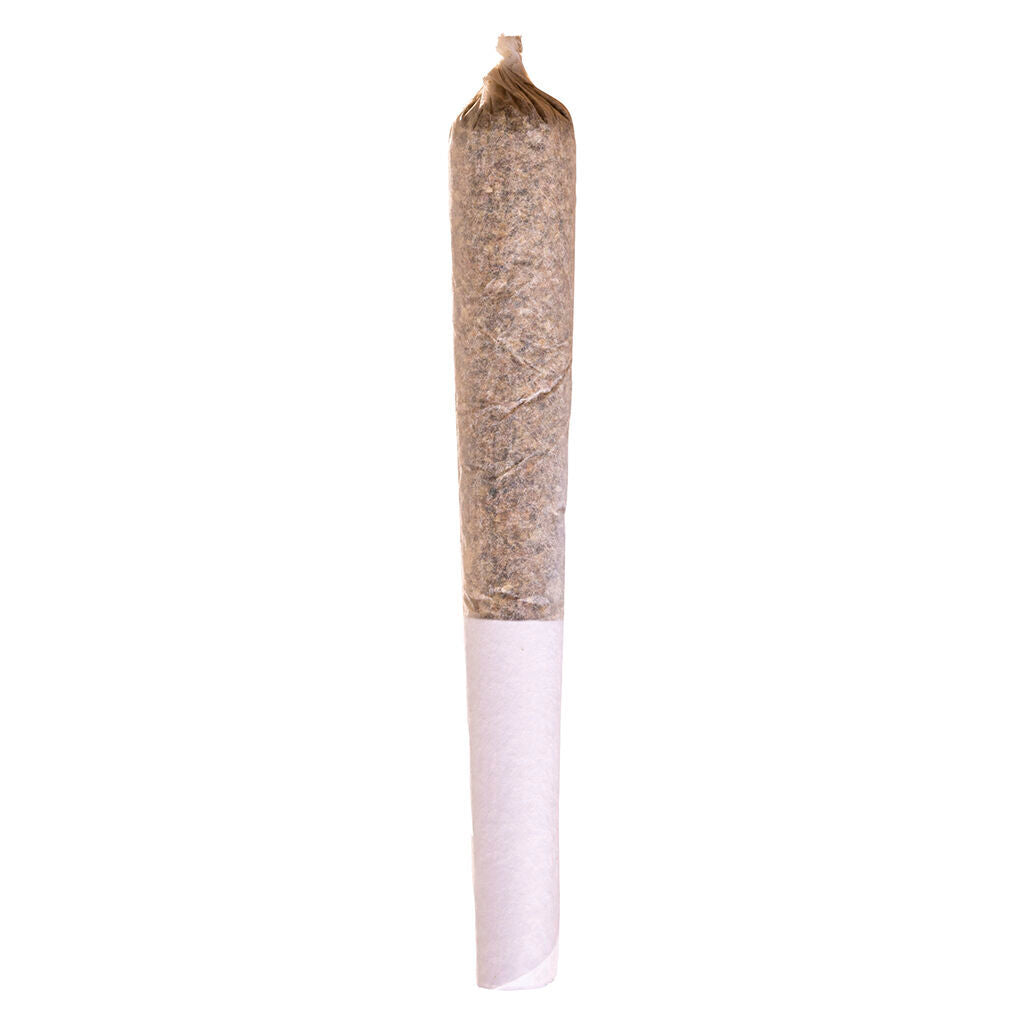 POTLUCK APPLE FRITTER (IND) PRE-ROLL 0.5G X 1