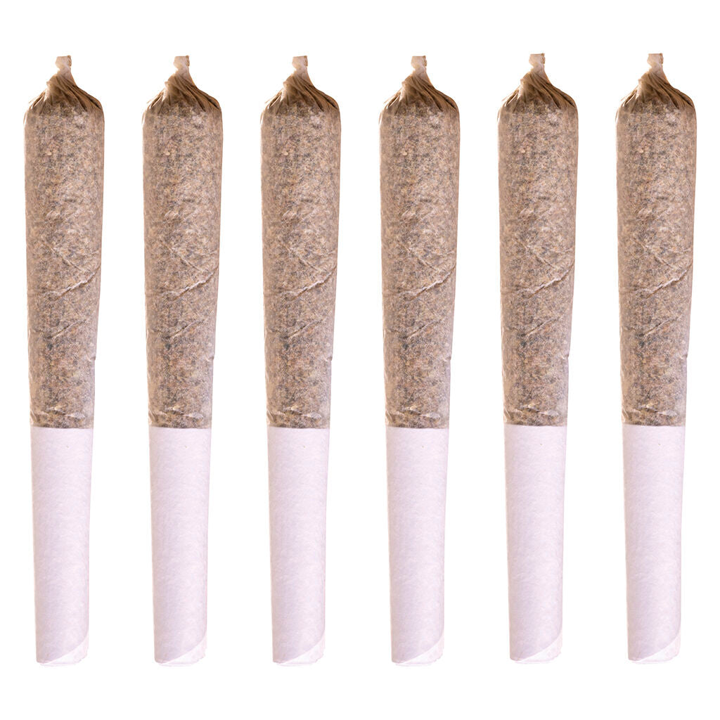 STATION HOUSE JACK HERER (S) PRE-ROLL 0.5G X 6