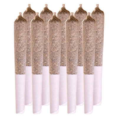 STATION HOUSE AMNESIA HAZE (S) PRE-ROLL 0.5G X 10