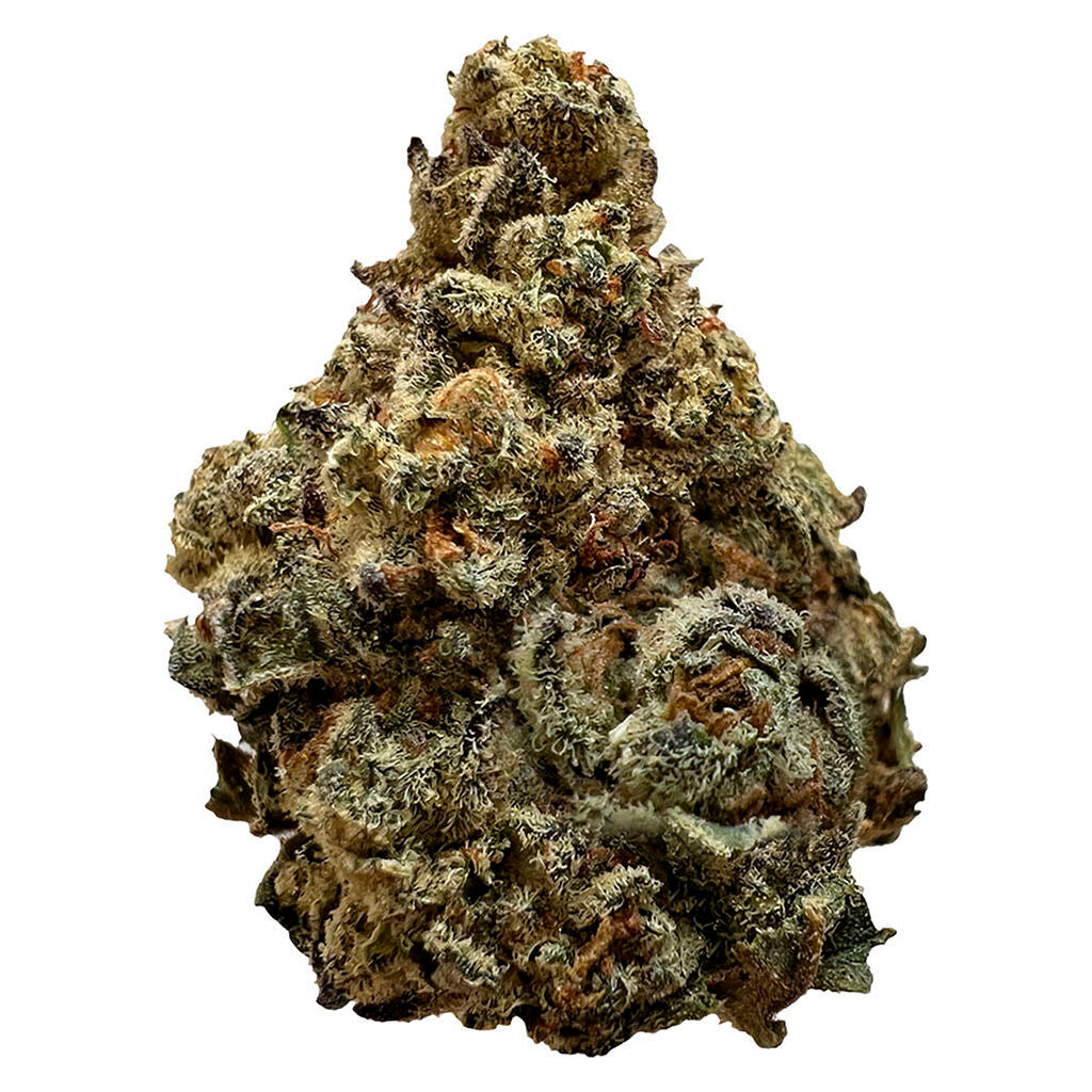 DOM JACKSON OREOZ (H) DRIED - 14G