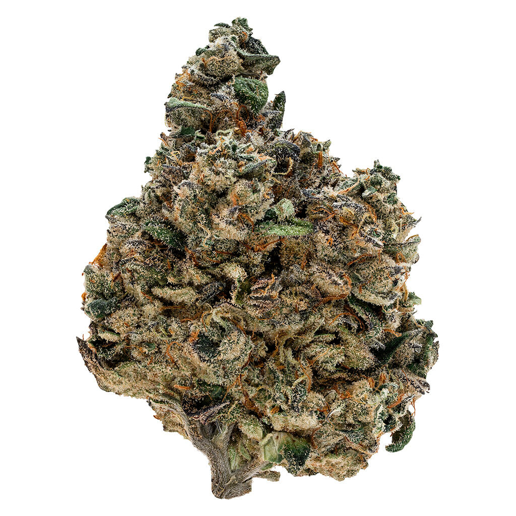 TRIBAL GRAN TURISMO (IND) DRIED - 3.5G