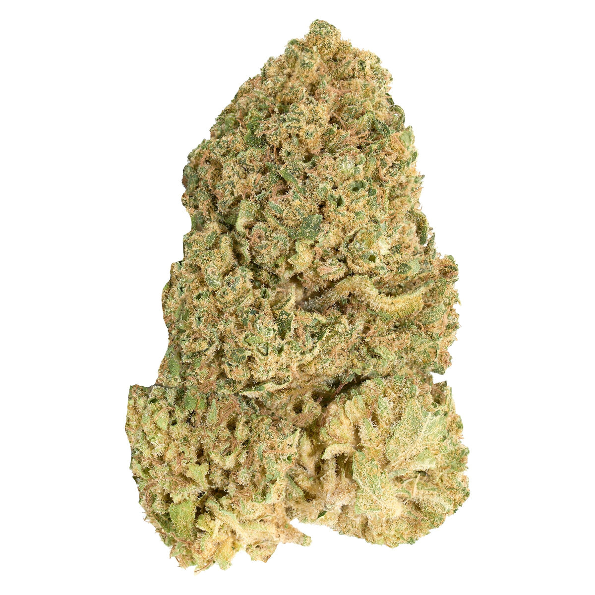 GOOD SUPPLY BLUEBERRY DONUTS (IND) DRIED - 28G