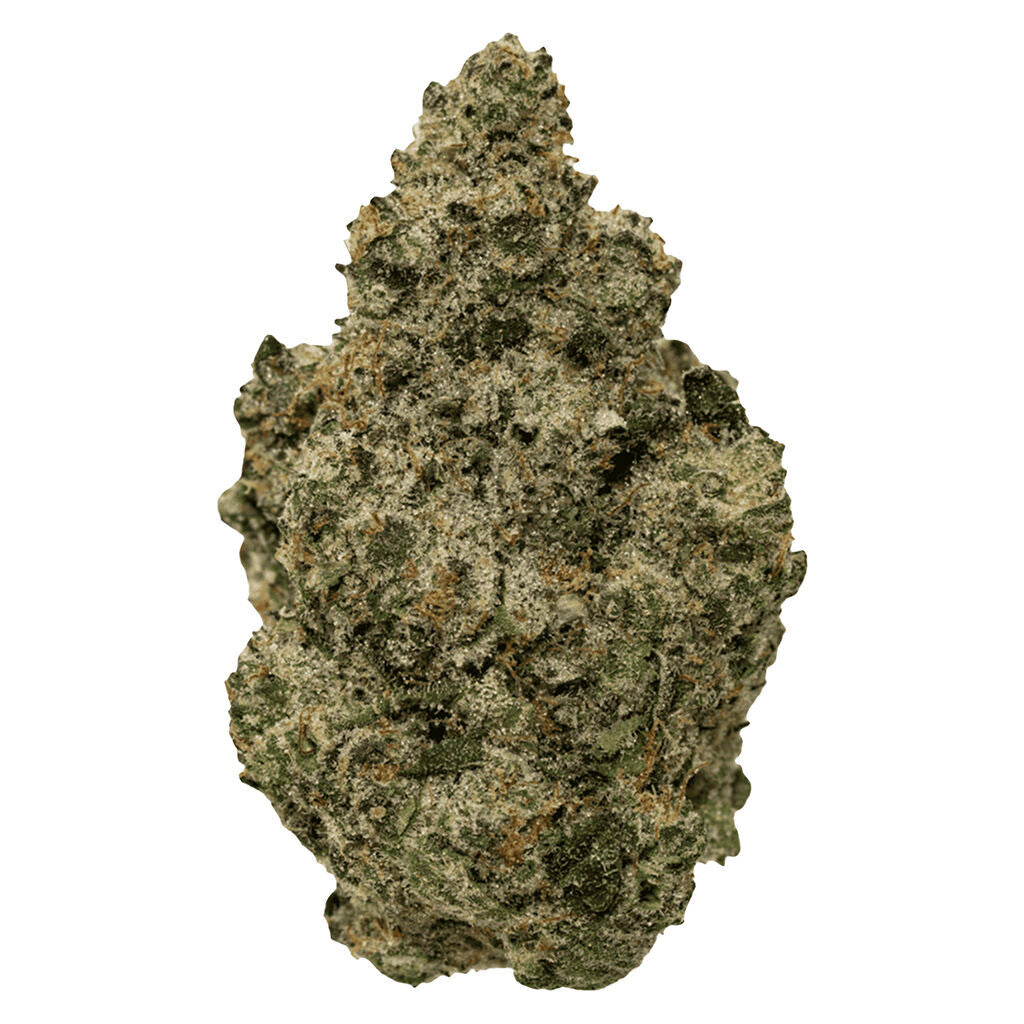 SIMPLY BARE BC ORGANIC BLACK ZOAP (IND) DRIED - 28G