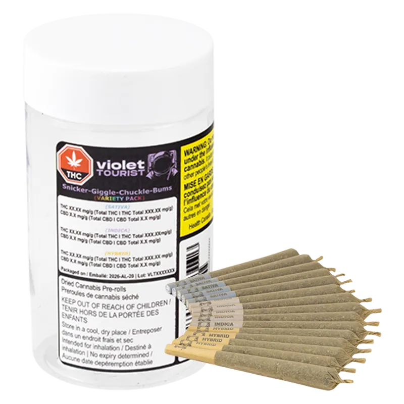 VIOLET TOURIST SNICKERGIGGLECHUCKLEBUM (H) PRE-ROLL - 1G X15