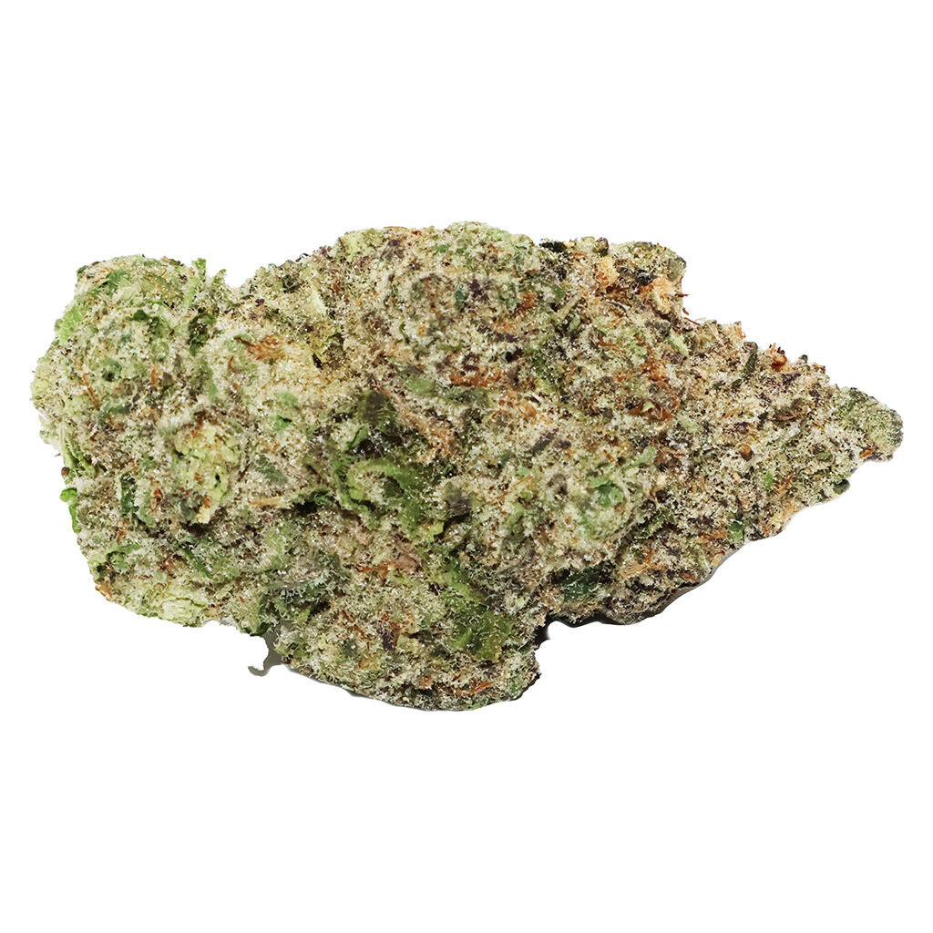 VIOLET TOURIST SUNFLOWER (S) DRIED - 7G