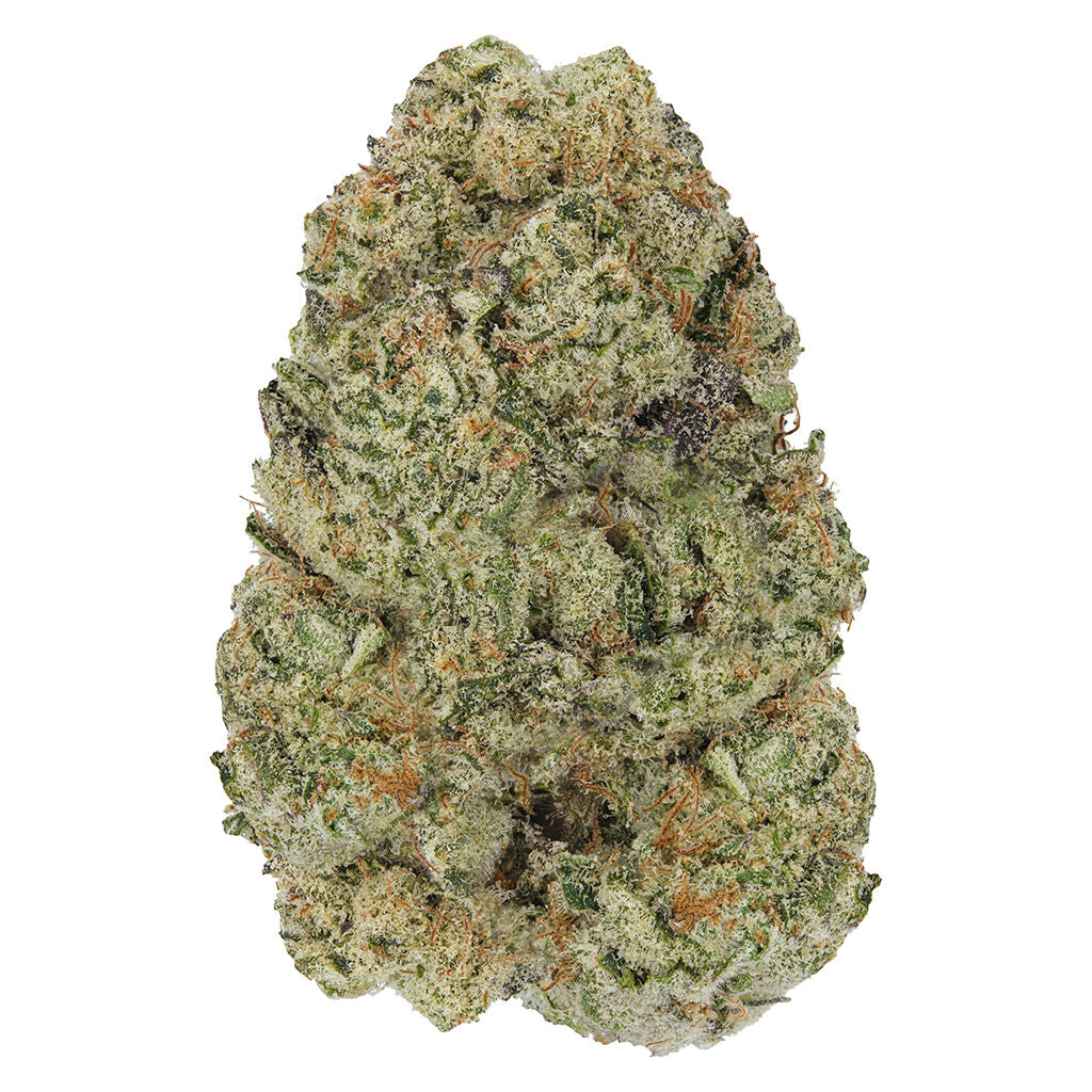 ONO MARY-GO-ROUND (H) DRIED - 14G