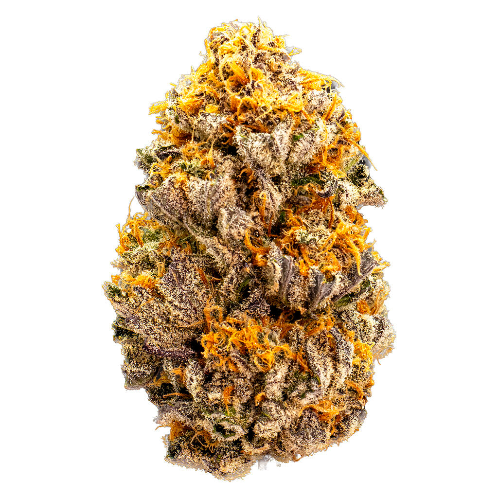 WAZA MINI SHINKEN (H) DRIED - 7G
