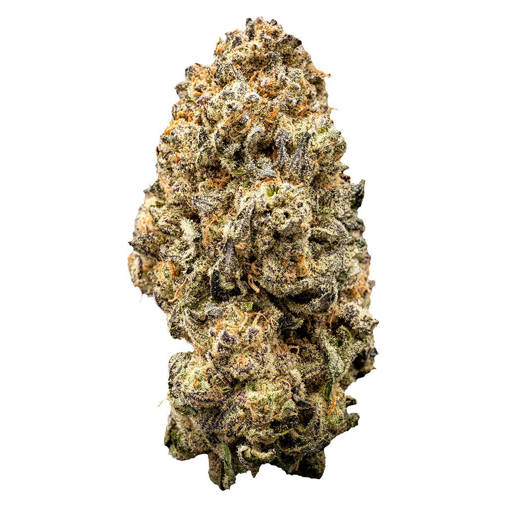 WAZA ORANGE SLUSHIE (H) DRIED - 7G