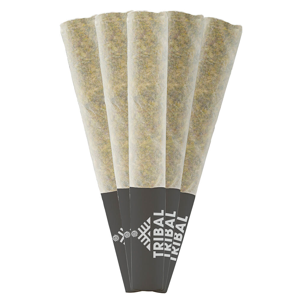 TRIBAL NEON SUNSHINE (H) PRE-ROLL - 0.5G X 5