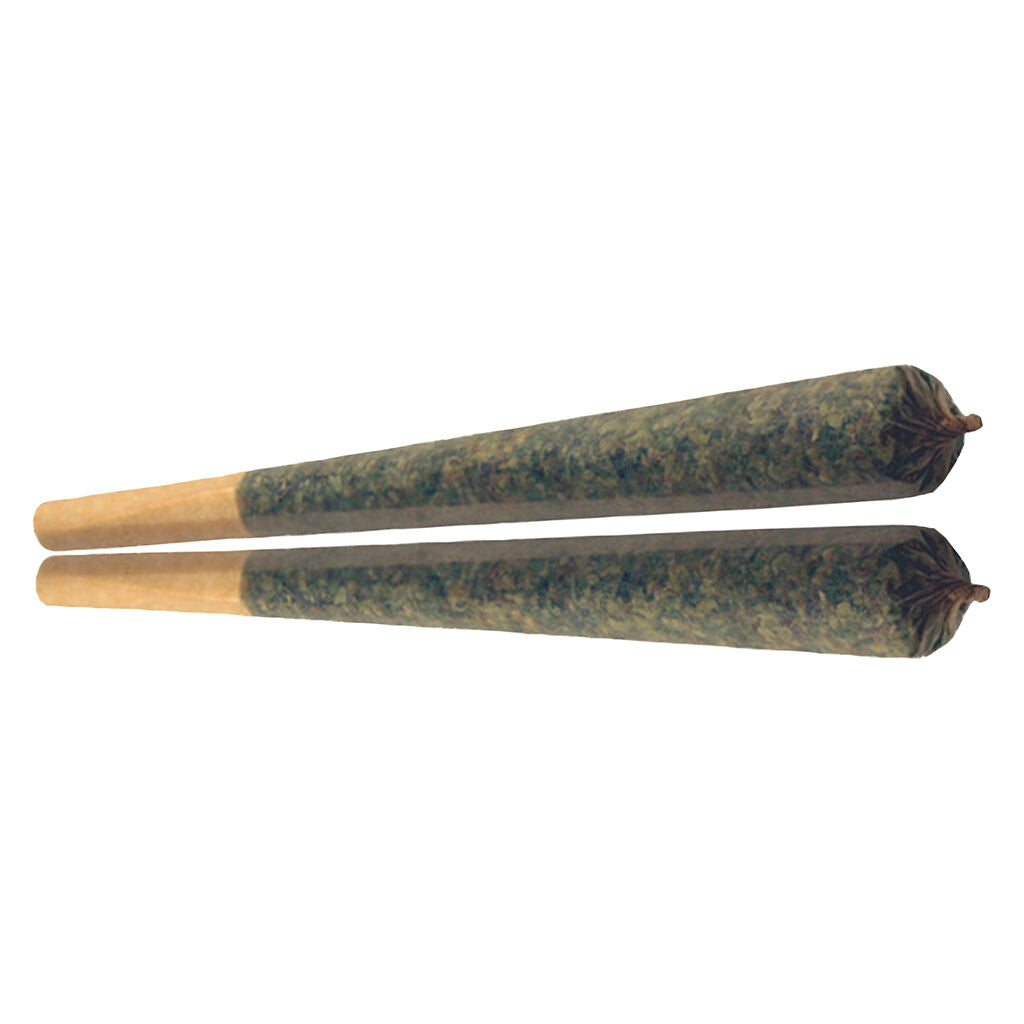 VIOLET TOURIST INFERNO MCBURNO (S) PRE-ROLL - 0.5G X 30