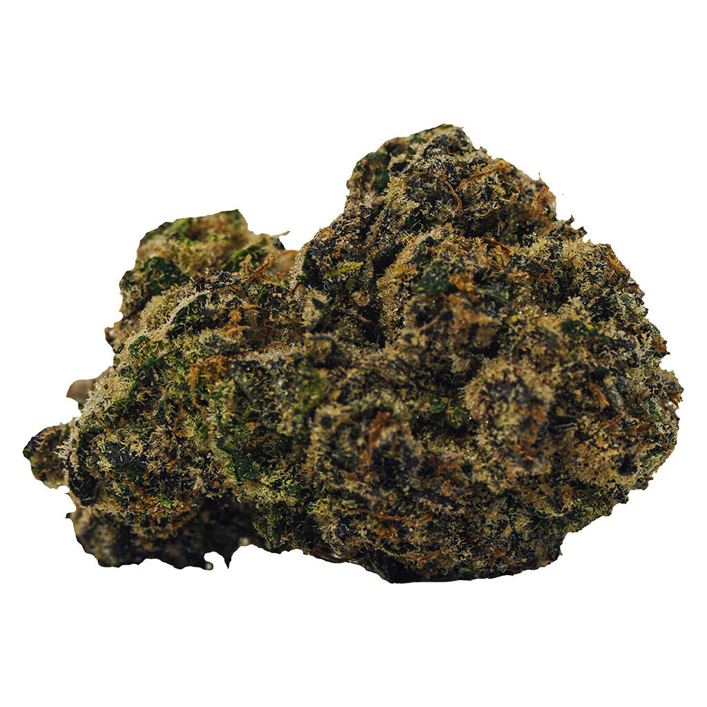 BOLD ROCKET FUEL (H) DRIED - 14G