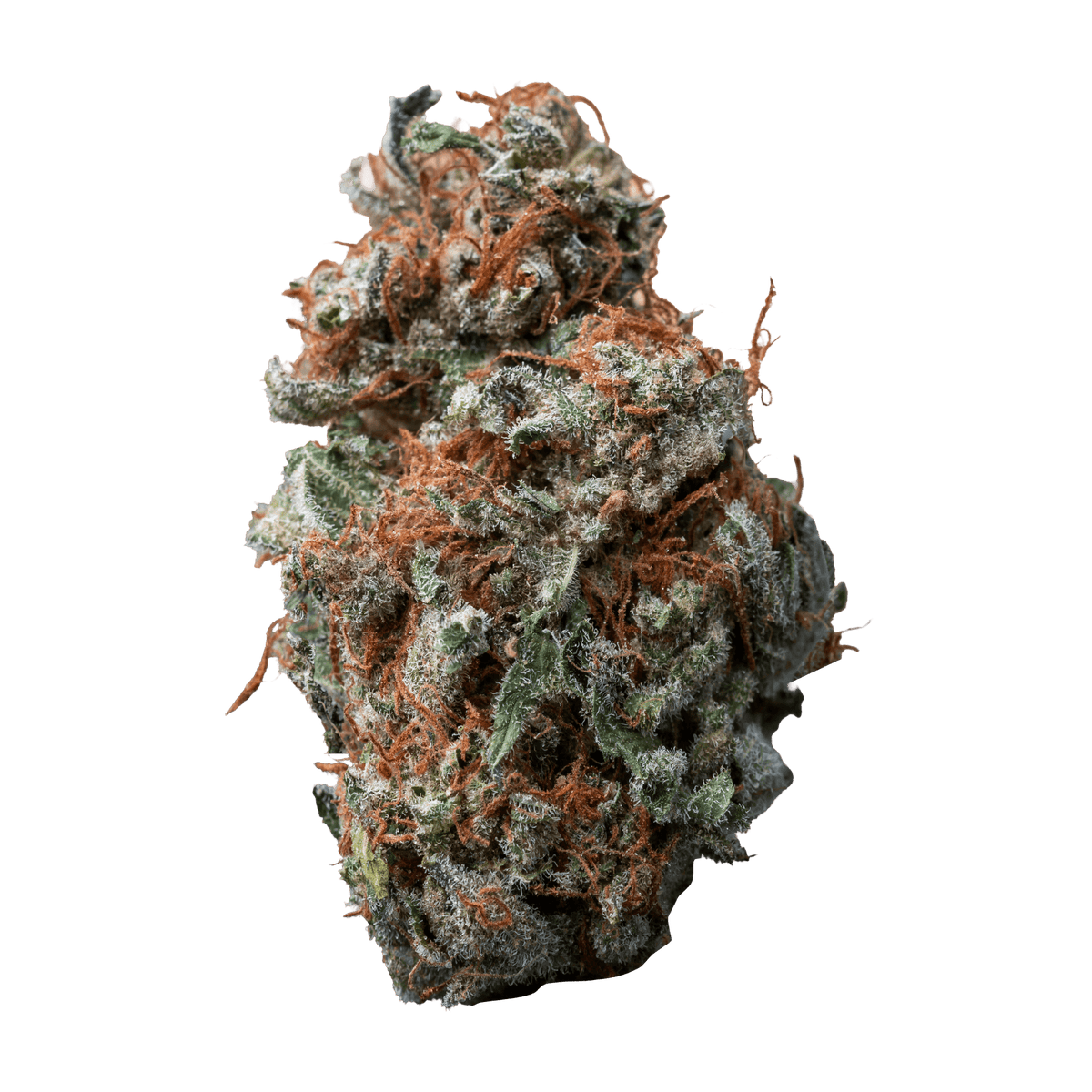 PALMETTO SASQUATCH SAP (S) DRIED - 14G