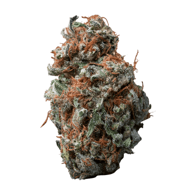 PALMETTO SASQUATCH SAP (S) DRIED - 14G