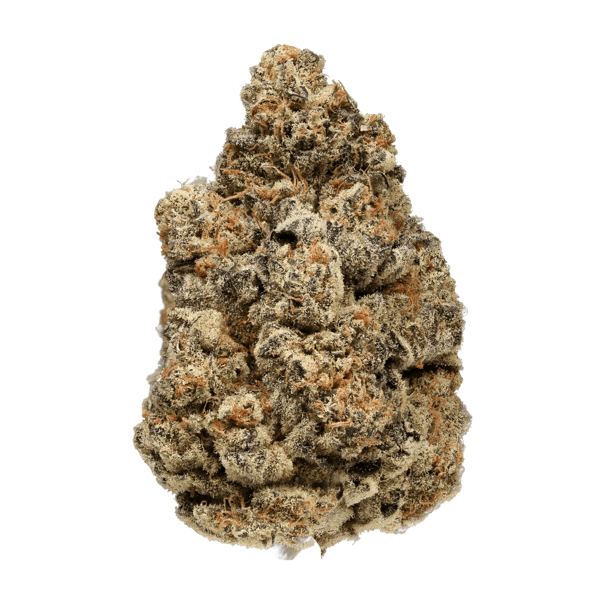 PALMETTO RADICAL JUICE (IND) DRIED - 3.5G
