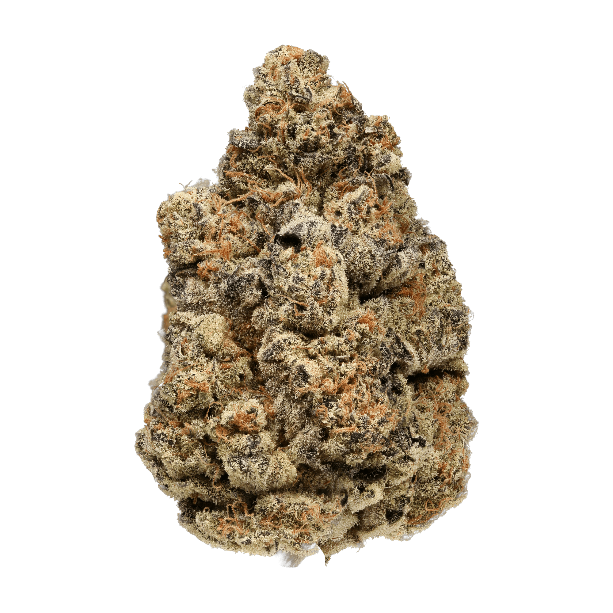 PALMETTO RADICAL JUICE (IND) DRIED - 14G