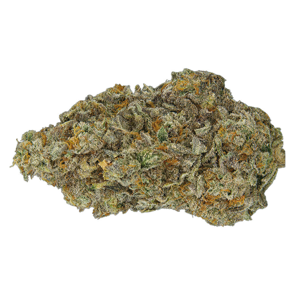 QWEST CRASH GLOW (IND) DRIED - 7G