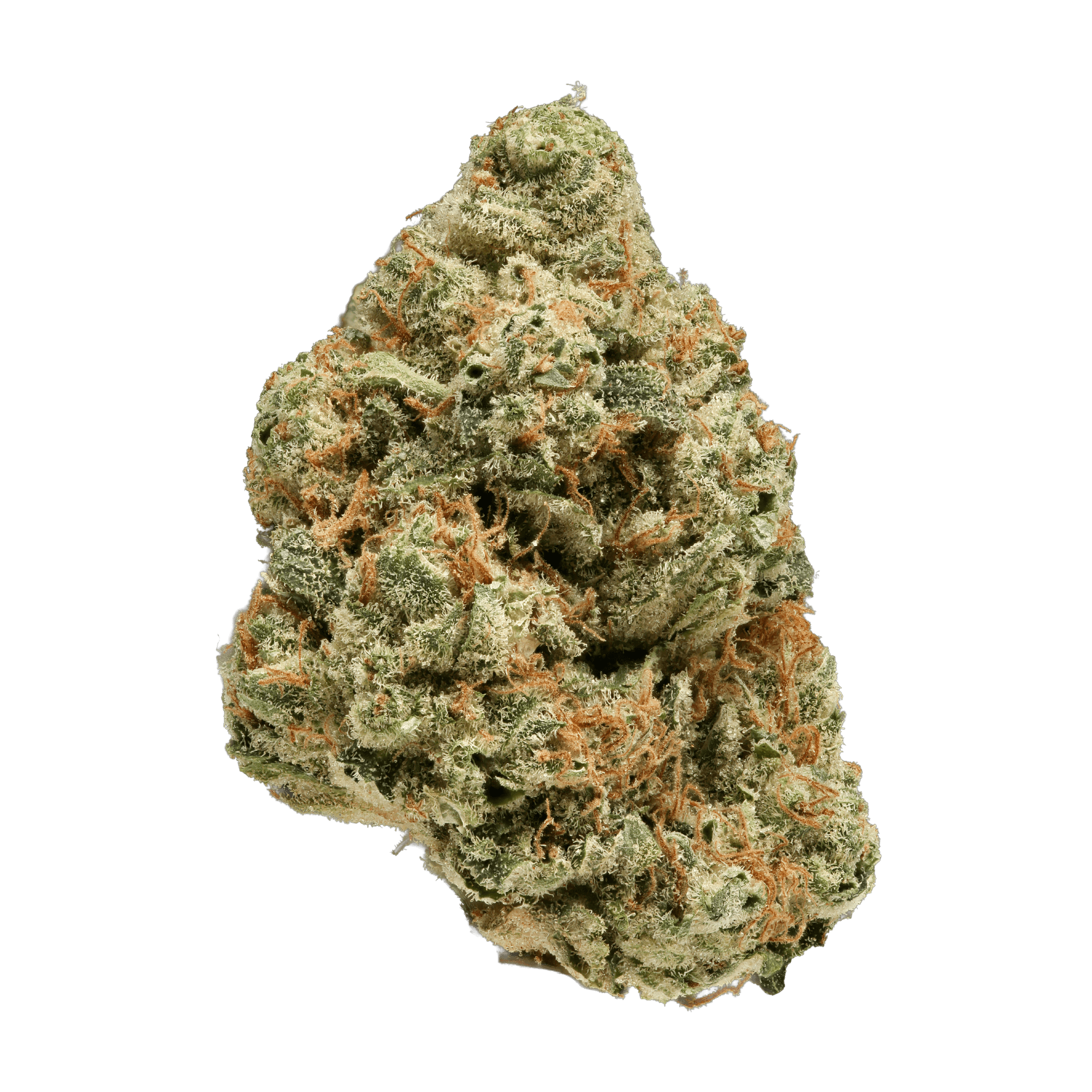 VERSUS SKYWLKR OG (IND) DRIED - 28G