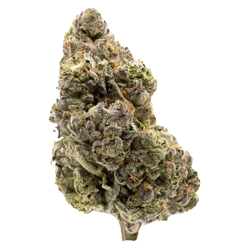 FIGR MIDNIGHT SHERB (S) DRIED - 14G