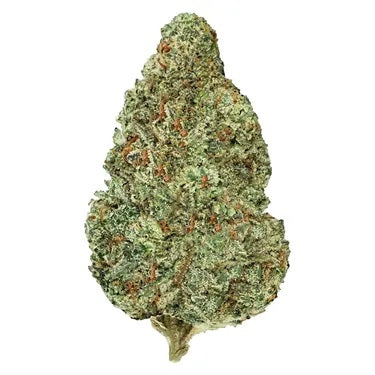 NATURAL HISTORY EGO CHECKER (H) DRIED - 3.5G