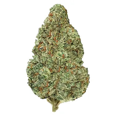 NATURAL HISTORY EGO CHECKER (H) DRIED - 3.5G