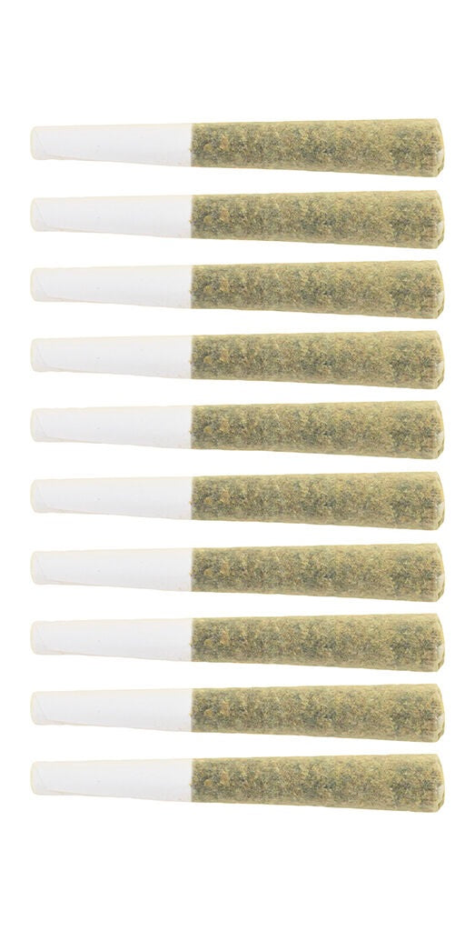 THE LOUD PLUG EXOTIC GAS (IND) PRE-ROLL - 0.5G X 10