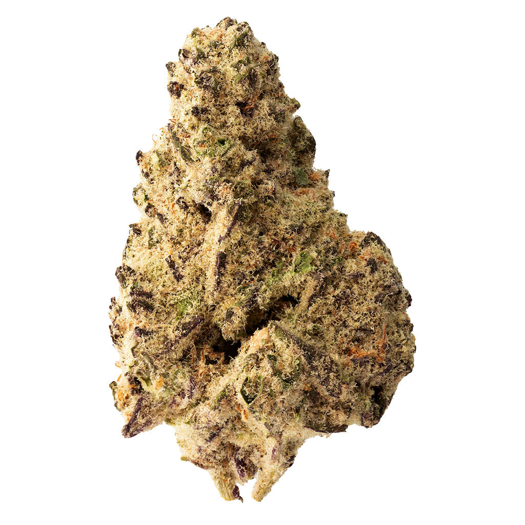 THE LOUD PLUG PLATINUM PUNCH (IND) DRIED - 7G