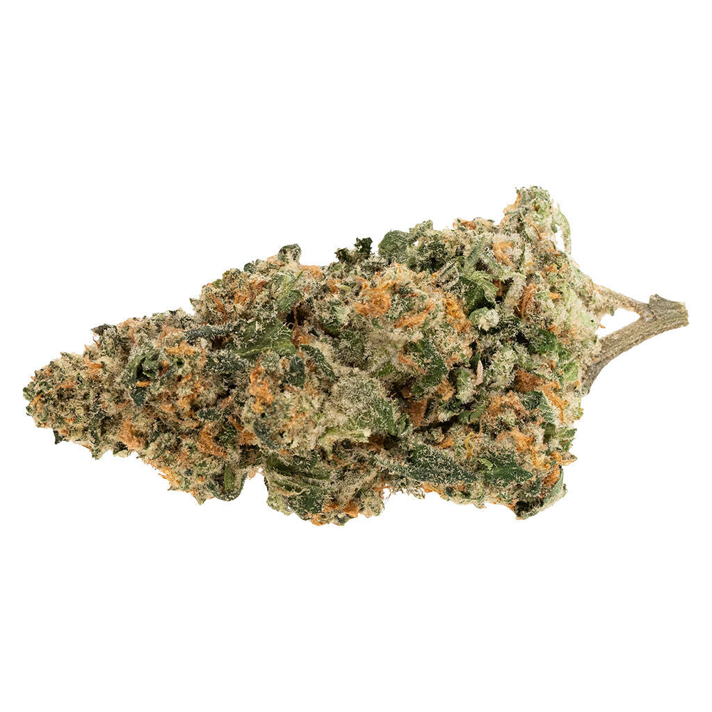 SOAR WIDOW POP (IND) DRIED - 7G