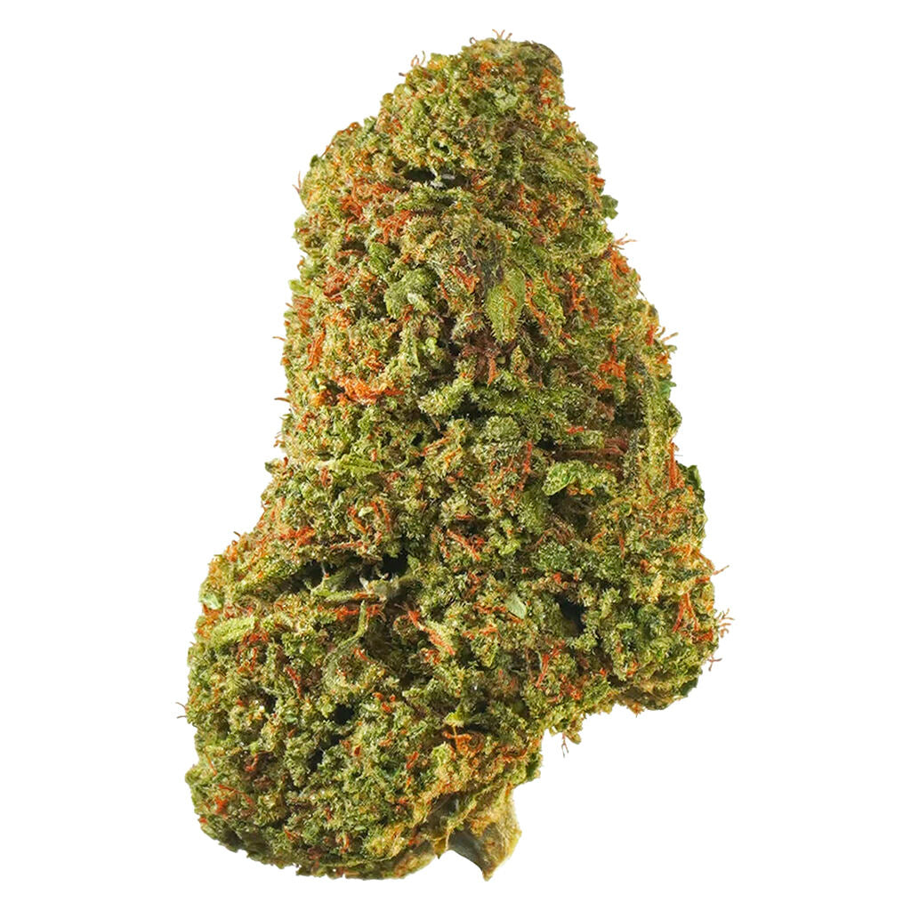 1964 TROPICANNA (S) DRIED - 7G