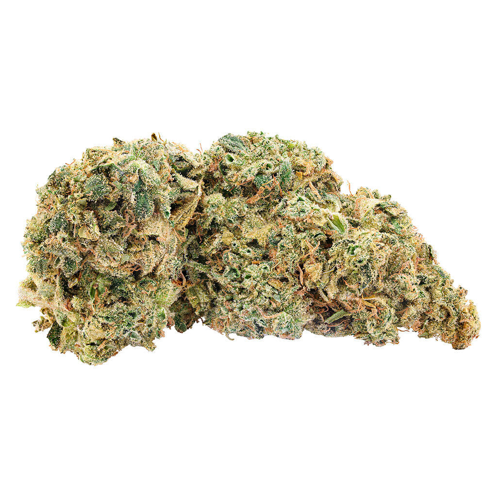 BIG BAG O BUDS NORTHERN NIGHTS (IND) DRIED - 28G