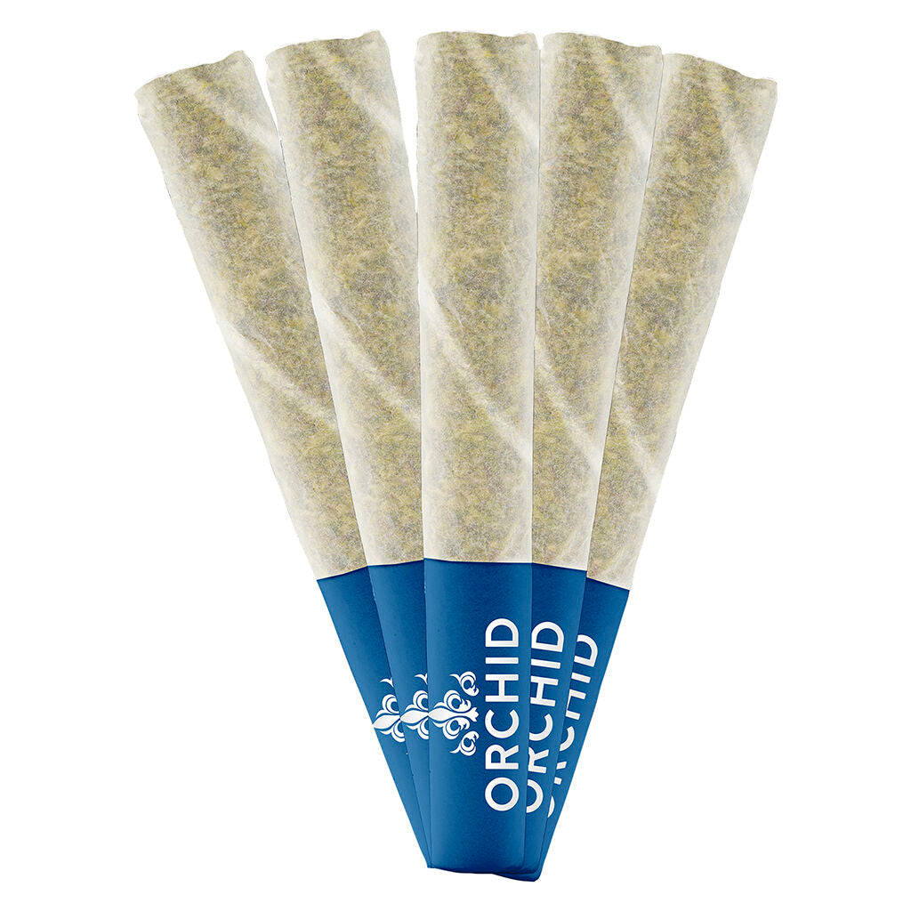 ORCHID CBD JEAN GUY CBD (S) PRE-ROLL - 0.5G X 5