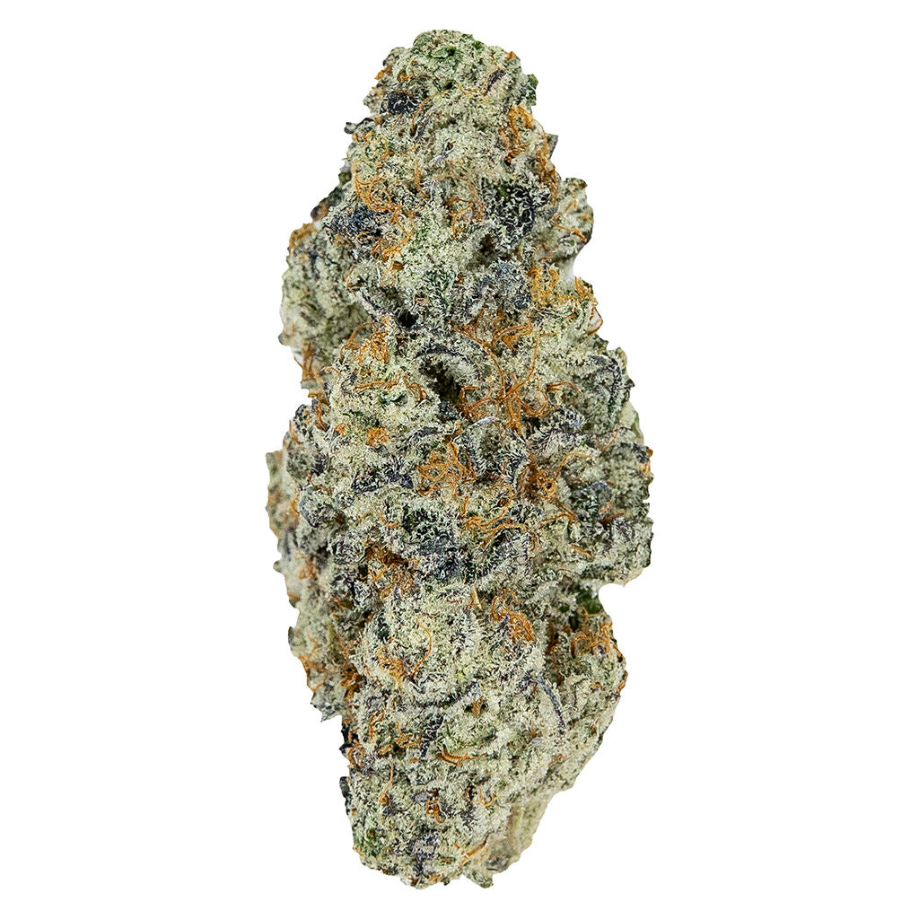 PISTOL AND PARIS PERMA FRIED (IND) DRIED - 14G
