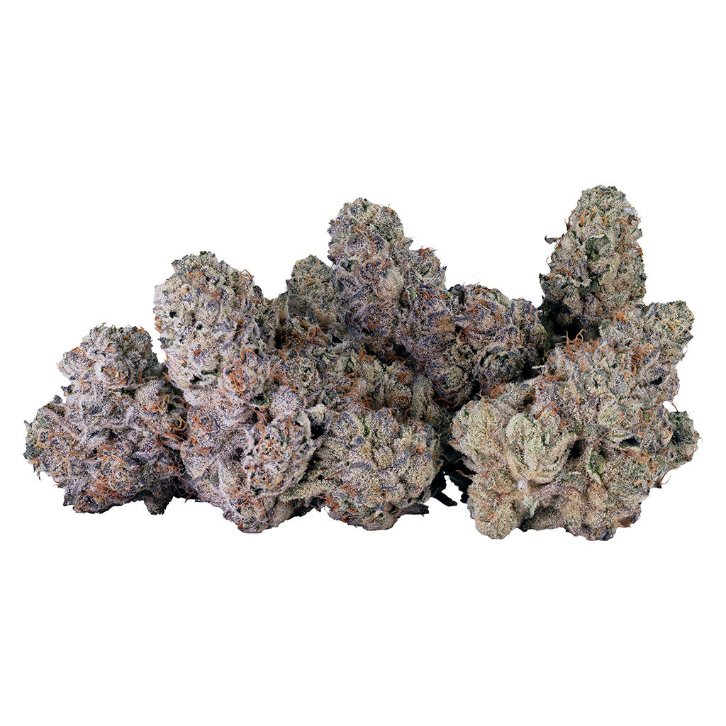 TRIBAL BUBBLE UP (IND) DRIED - 14G
