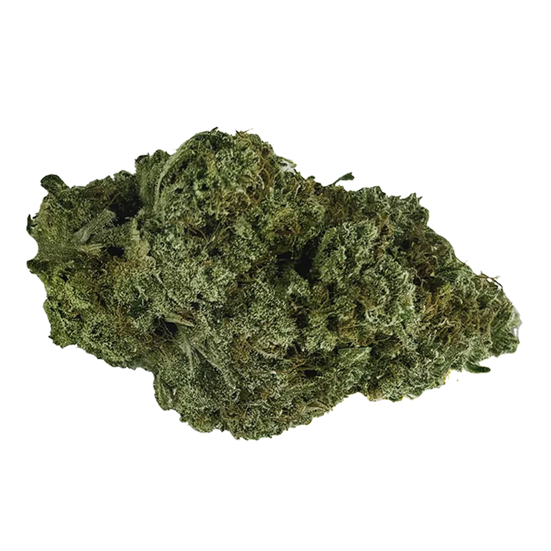 CANADIAN CANNABIS ORGANIC THUNDER ZKITTLEZ (H) DRIED - 28G