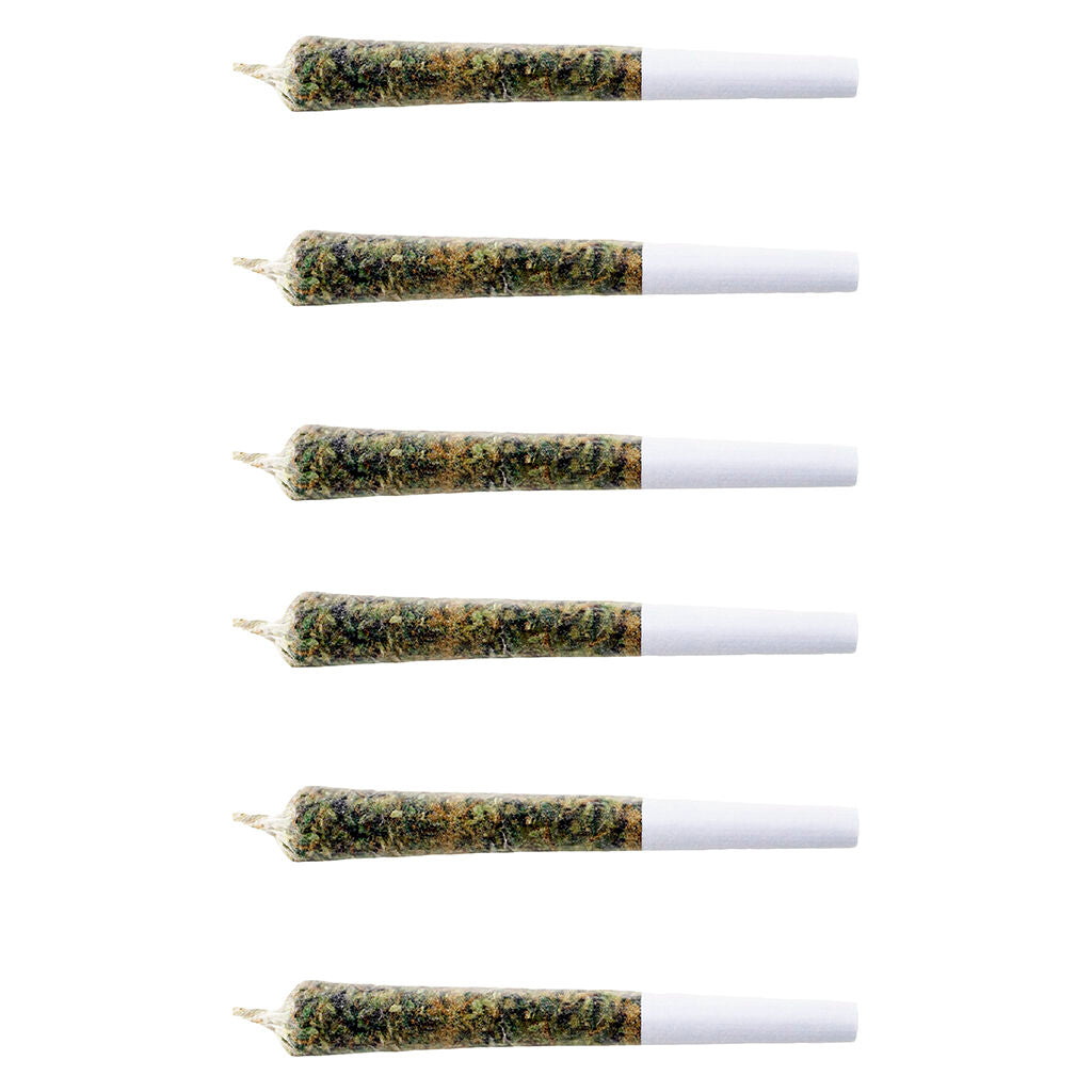 1 SPLIFF TRILOGY (H) PRE-ROLL 0.5G X 21