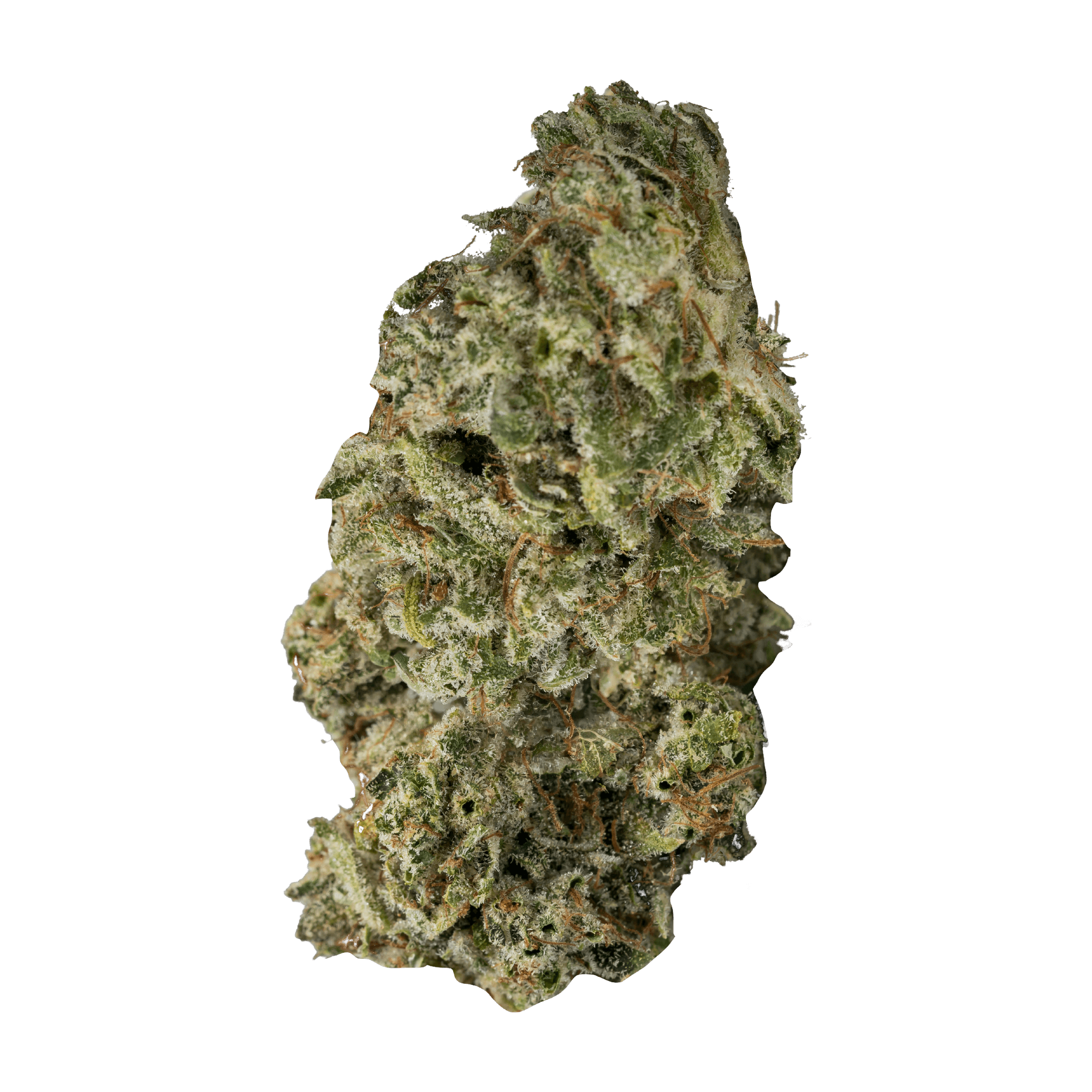 CONTRABAND DBL DUTCH (IND) DRIED - 7G