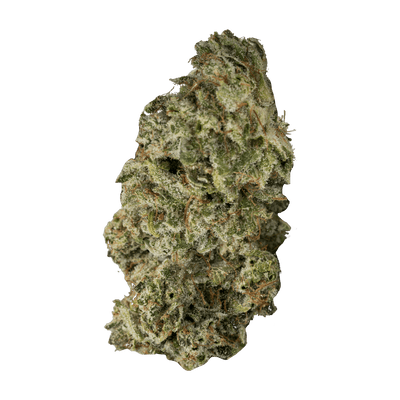 CONTRABAND DBL DUTCH (IND) DRIED - 7G