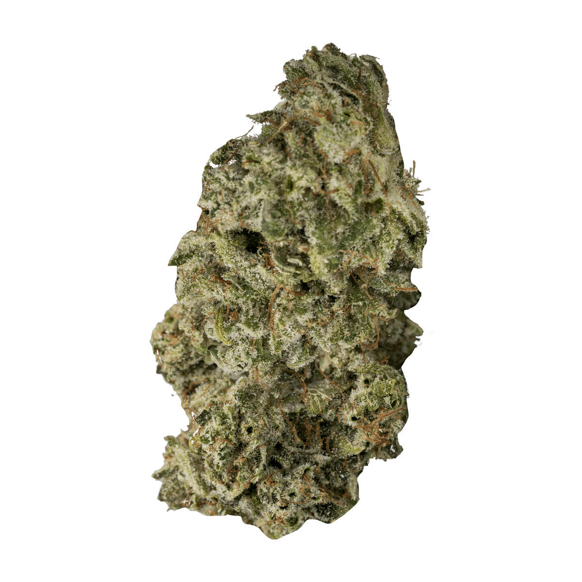 CONTRABAND DBL DUTCH (IND) DRIED - 7G